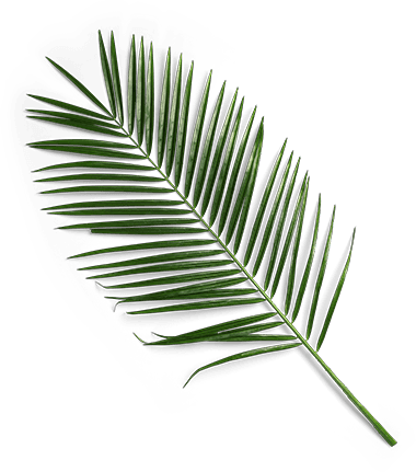 义乌市思露绮化妆品有限公司